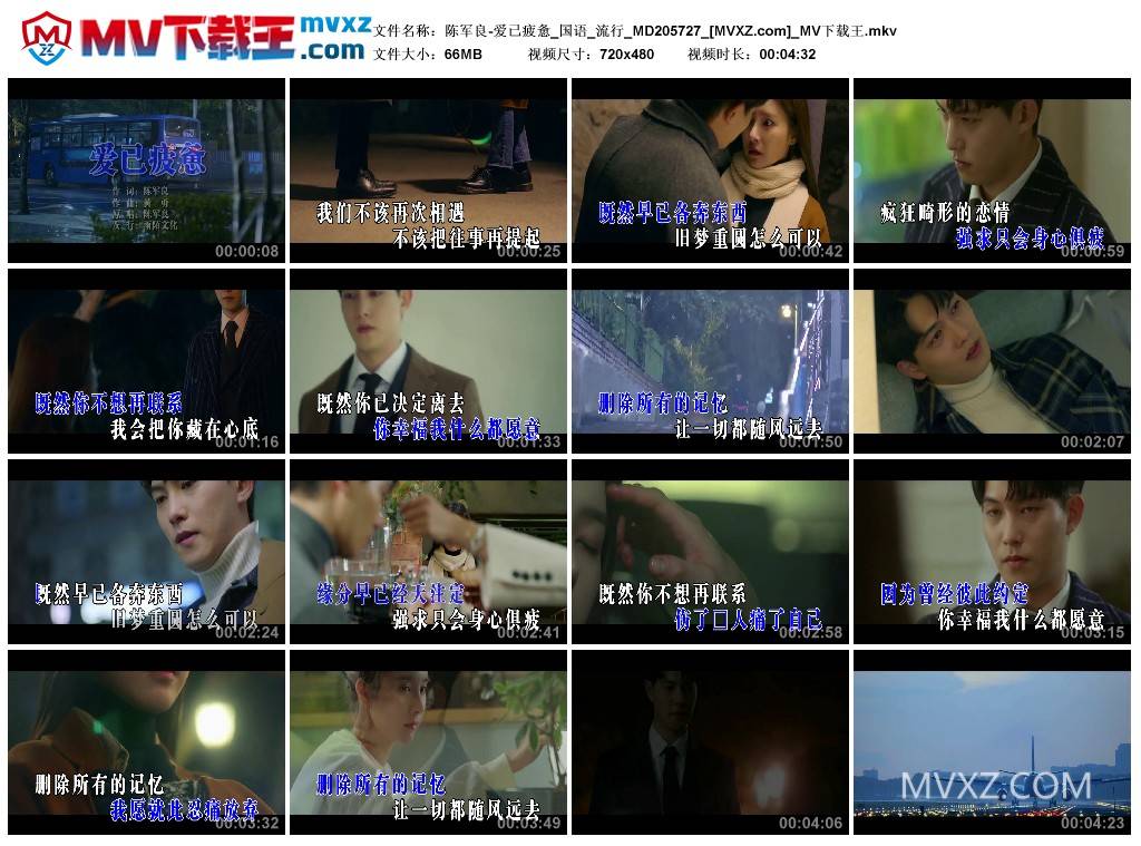 陈军良-爱已疲惫_国语_流行_MD205727